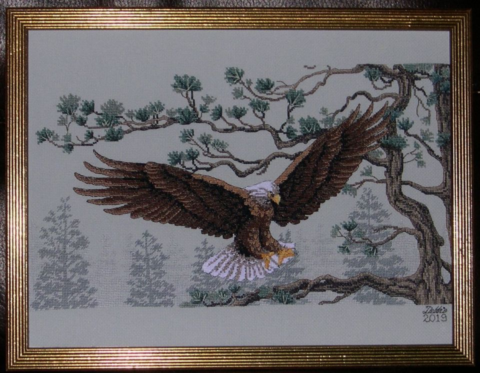 Majestic Eagle finally finished  into 12 X 16 ready made frame